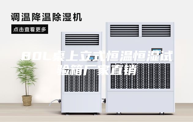 80L桌上立式恒温恒湿试验箱厂家直销