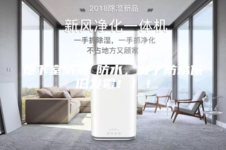 地下室防潮≠防水，做了防水依旧发霉！！！