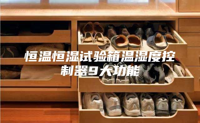 恒温恒湿试验箱温湿度控制器9大功能