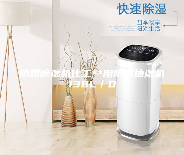 防爆除湿机化工**用防爆抽湿机138L／D