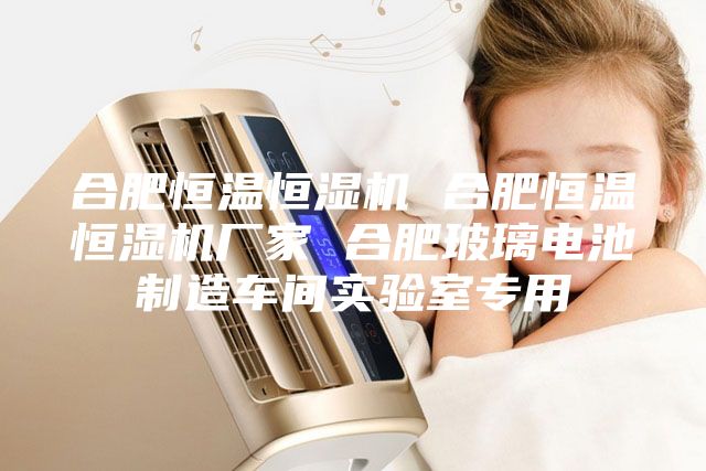 合肥恒温恒湿机 合肥恒温恒湿机厂家 合肥玻璃电池制造车间实验室专用