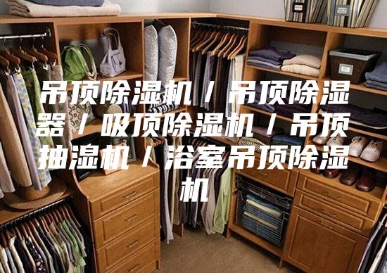 吊顶除湿机／吊顶除湿器／吸顶除湿机／吊顶抽湿机／浴室吊顶除湿机