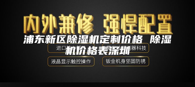 浦东新区除湿机定制价格 除湿机价格表深圳