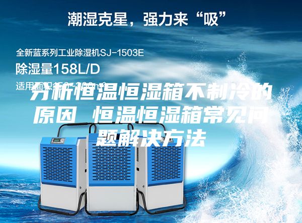 分析恒温恒湿箱不制冷的原因 恒温恒湿箱常见问题解决方法