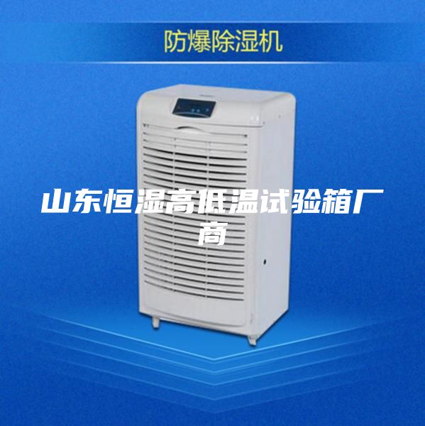 山东恒湿高低温试验箱厂商