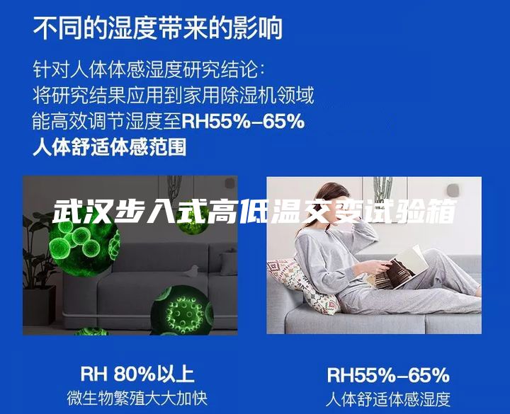 武汉步入式高低温交变试验箱