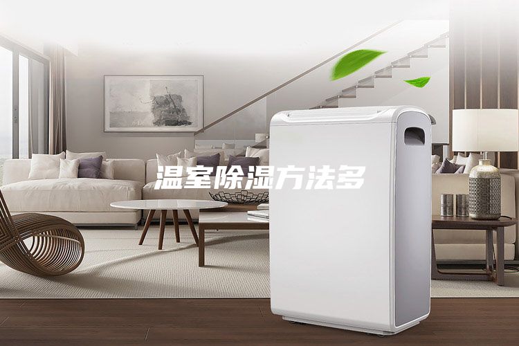 温室除湿方法多
