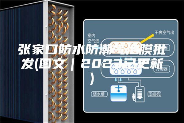 张家口防水防潮气泡膜批发(图文｜2023已更新)