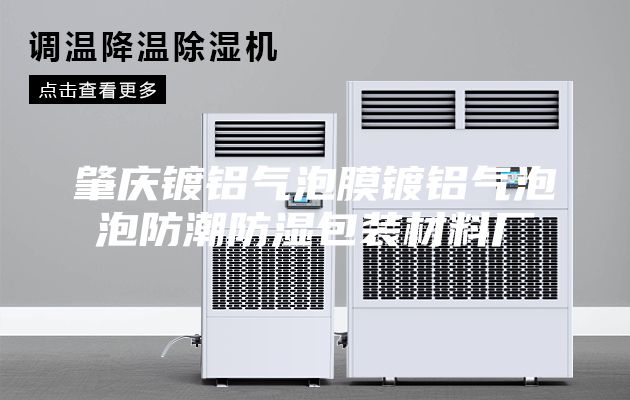 肇庆镀铝气泡膜镀铝气泡泡防潮防湿包装材料厂