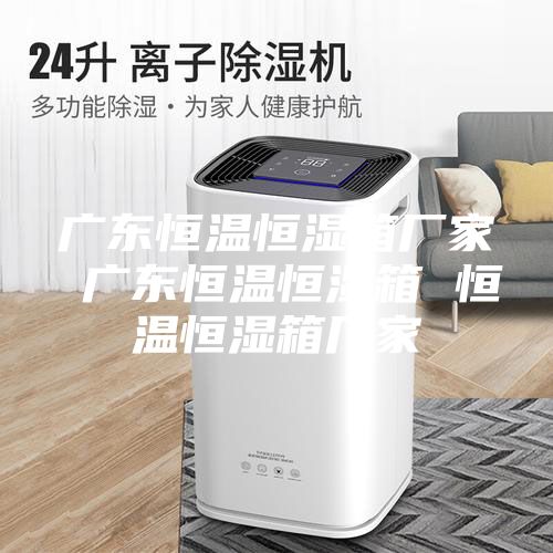 广东恒温恒湿箱厂家 广东恒温恒湿箱 恒温恒湿箱厂家