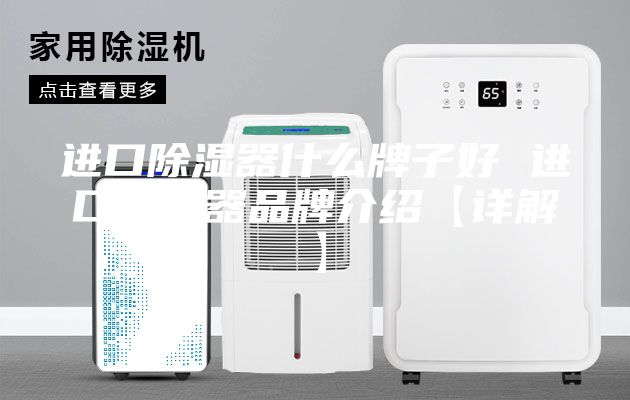 进口除湿器什么牌子好 进口除湿器品牌介绍【详解】
