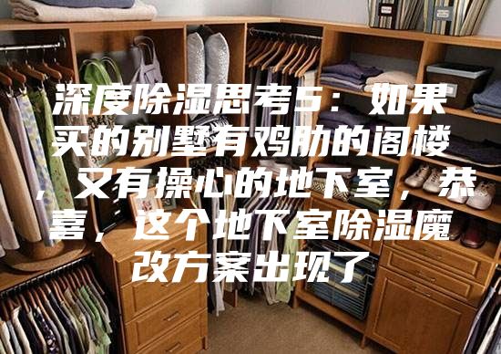 深度除湿思考5：如果买的别墅有鸡肋的阁楼，又有操心的地下室，恭喜，这个地下室除湿魔改方案出现了